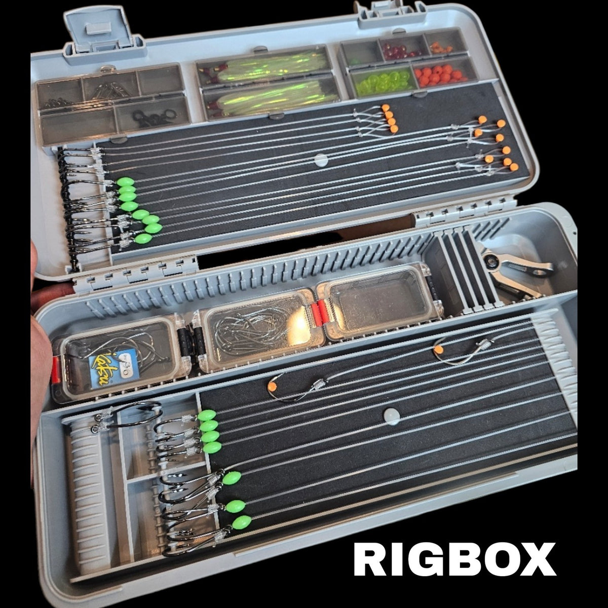 RIG BOX (Organizer)
