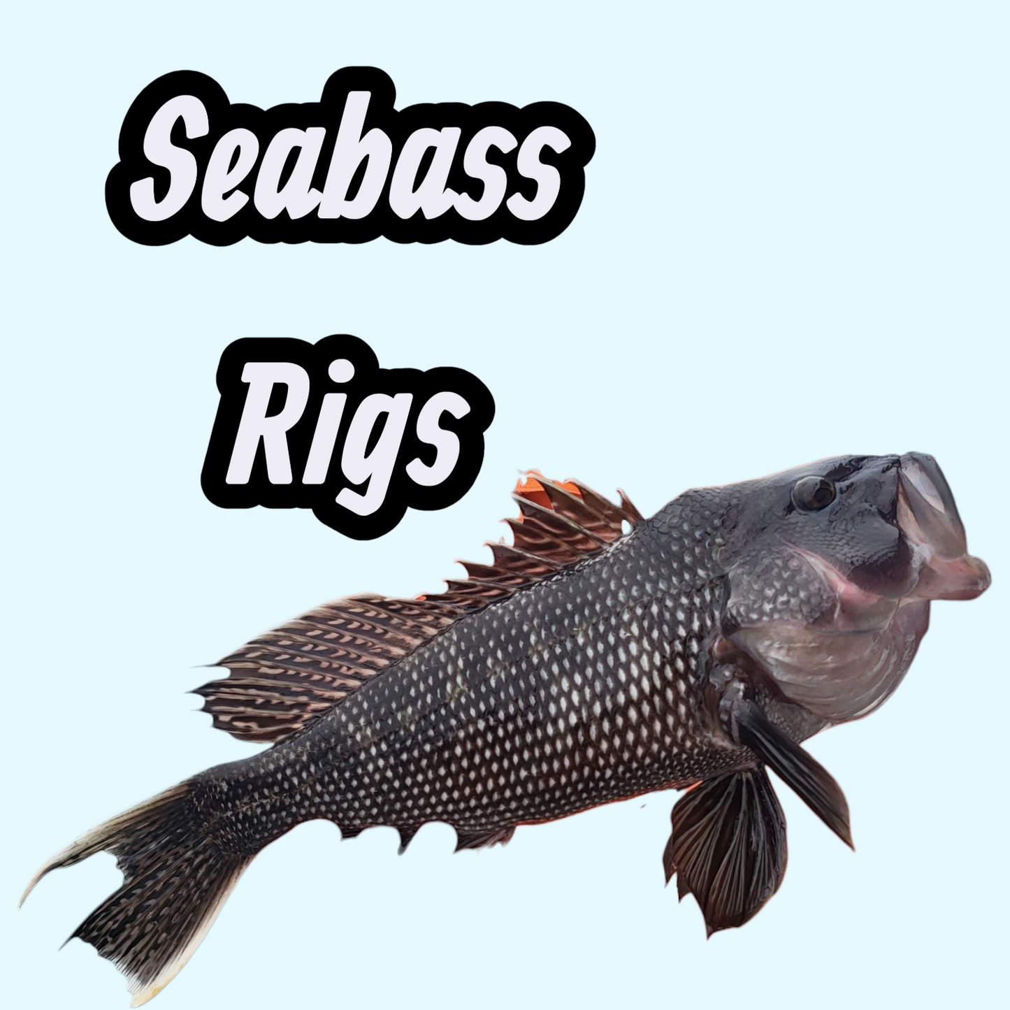 10 Pack- Seabass Rig