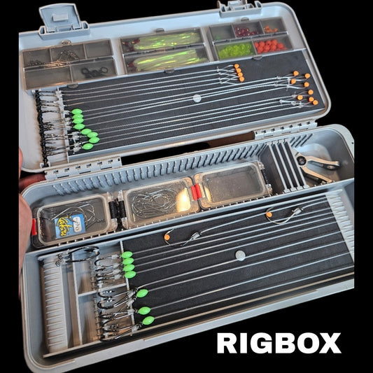 RIG BOX (Organizer)